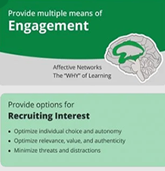 UDL in Practice Short Course UDL in Practice Short Course