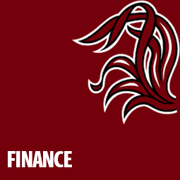 Finance 