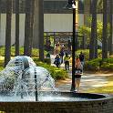 USC Aiken campus