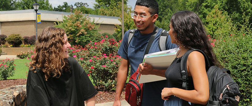 Students in the rose garden