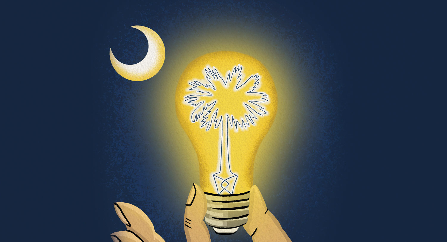 An illustration of the South Carolina state flag and a lightbulb.