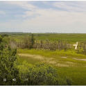 Thumbnail image of webcam view screenshot.