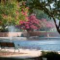 Bench overlooking a fountain