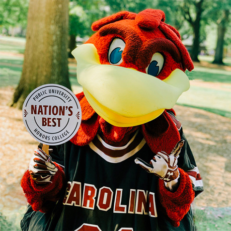 Cocky holding a sign that says "Nation's Best Public University Honors College"