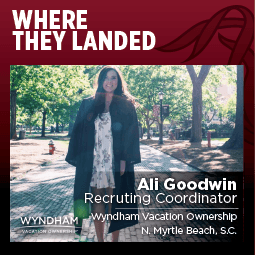 Ali Goodwin grid image