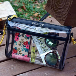 Policy handbags A clear Policy handbag with navy trim and gold zipper and chain strap
