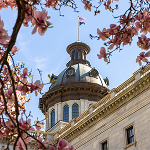 State capitol dome with flags on top
